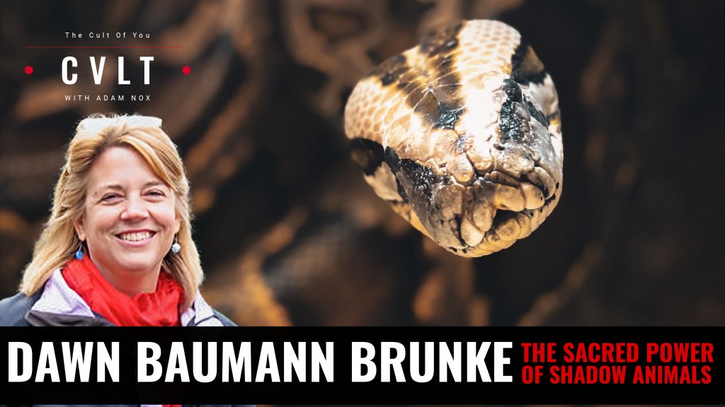 Dawn Baumann Brunke – The Forbidden Power of Shadow Animals